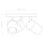 Koto 1 - Light Spotlight-276409711-317747342-317747343