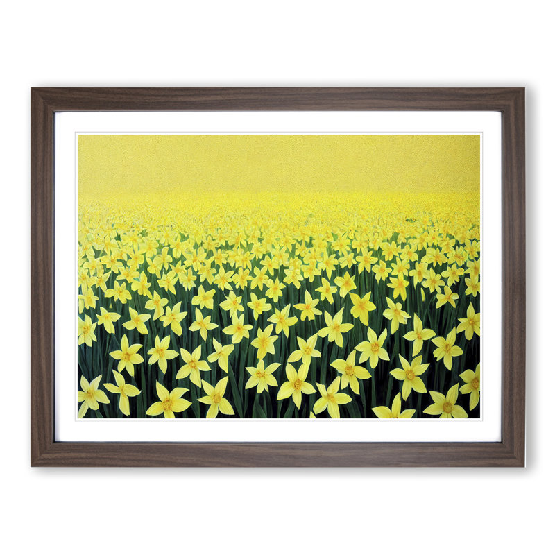 Daffodil Field - Framed Print, 34cm H x 46cm W x 2cm D, Walnut