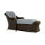 Reflections Outdoor Chaise Lounge-776425491-776425861