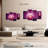 Harnek Purple Moth Orchid-108836836