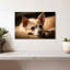 Chihuahua au repos Brampt-108735807