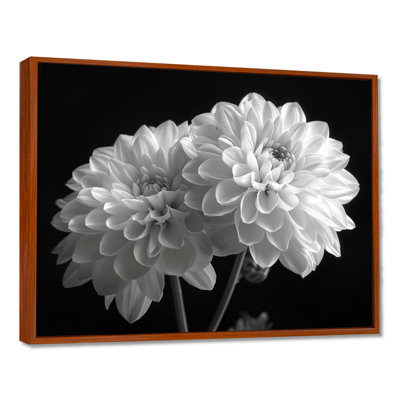 Monochromes blanc noir, «Mums Botanical Beauty I», reproduction d'art mural