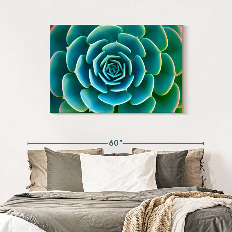 «Live Succulent», reproduction sur toile, H 30 po x l 45 po x P 1,25 po