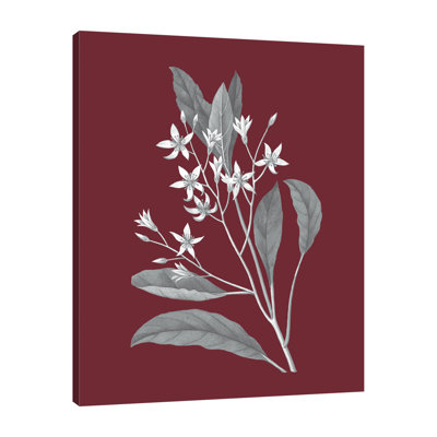 Wild Apple Portfolio " Pomegranate Botanical V " by Wild Apple Portfolio