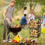 Analiha 39.9cm W Metal Log Rack