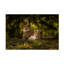 Art sur toile, Sake Van Pelt Cheetah Couple-218325218