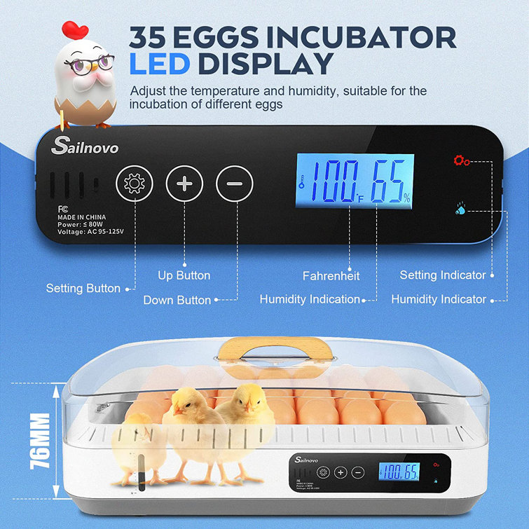 https://assets.wfcdn.com/im/32322696/resize-h755-w755%5Ecompr-r85/2377/237777473/35+Eggs+Chicken+Egg+Incubator.jpg