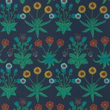 Daisy Wallpaper