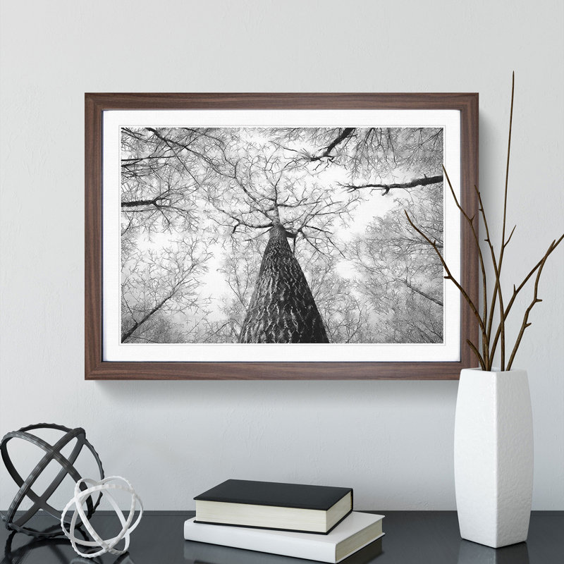 Below the Forest - Picture Frame Painting, 48cm H x 65cm W x 2cm D, Walnut Framed
