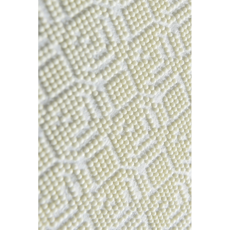 Stylish Area Rug (3.3 x 5.2 Feet), 100% Polyester, Pile Height: 0.16 Inches, Total Thickness: 0.39 Inches | Antibacterial, Non-Slip, Machine Washable | Perfect for Living Room, Bedroom, or Office Decor