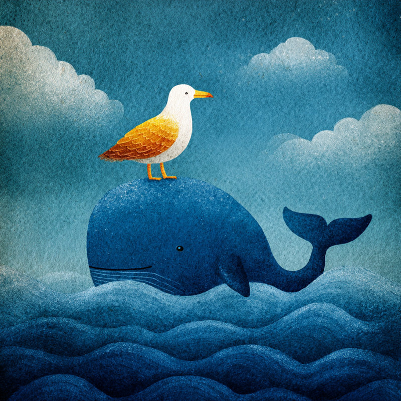 Toile tendue baleine et mouette