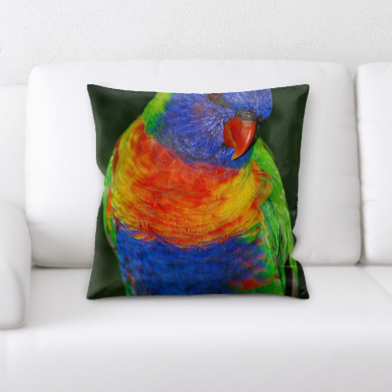 Coussin décoratif lorikeet arc-en-ciel