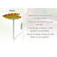 Aviara freestanding Bird  Bath and Feeder