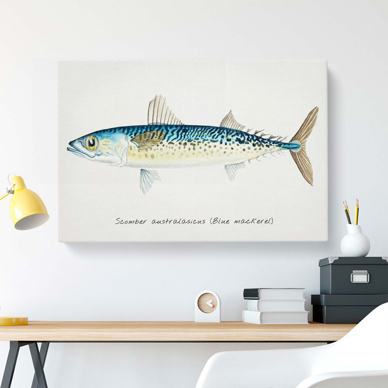 An Illustration of a Blue Mackerel - Wrapped Canvas Painting Pint - Wrapped Canvas, 50cm H x 76cm W x 3cm D