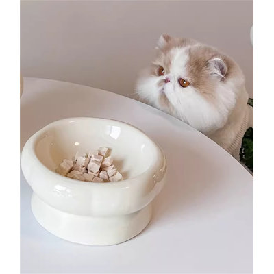 Bol en céramique protégeant le cou pour petits chats et chiens