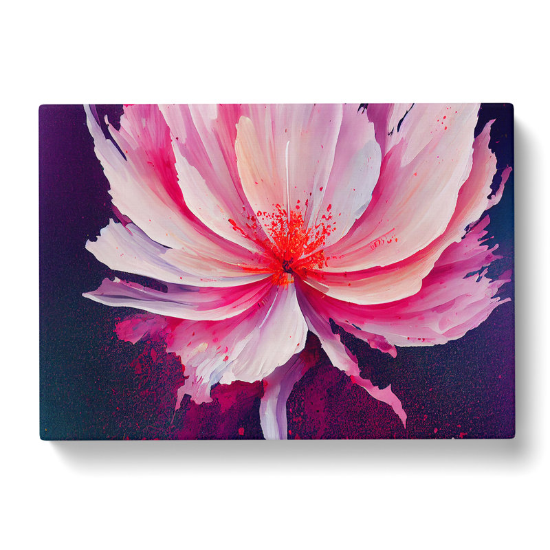 Carnation Flower Splash - Wrapped Canvas Print, 50cm H x 76cm W x 3cm D