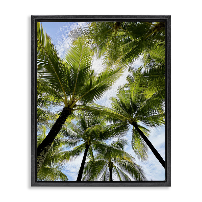 "Overhead Palm Trees", art mural encadré par Kali Wilson, Cadre flottant noir de jais, H 21 po x l 17 po