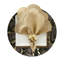 Stone Lacquer Placemat in Round-1769293451