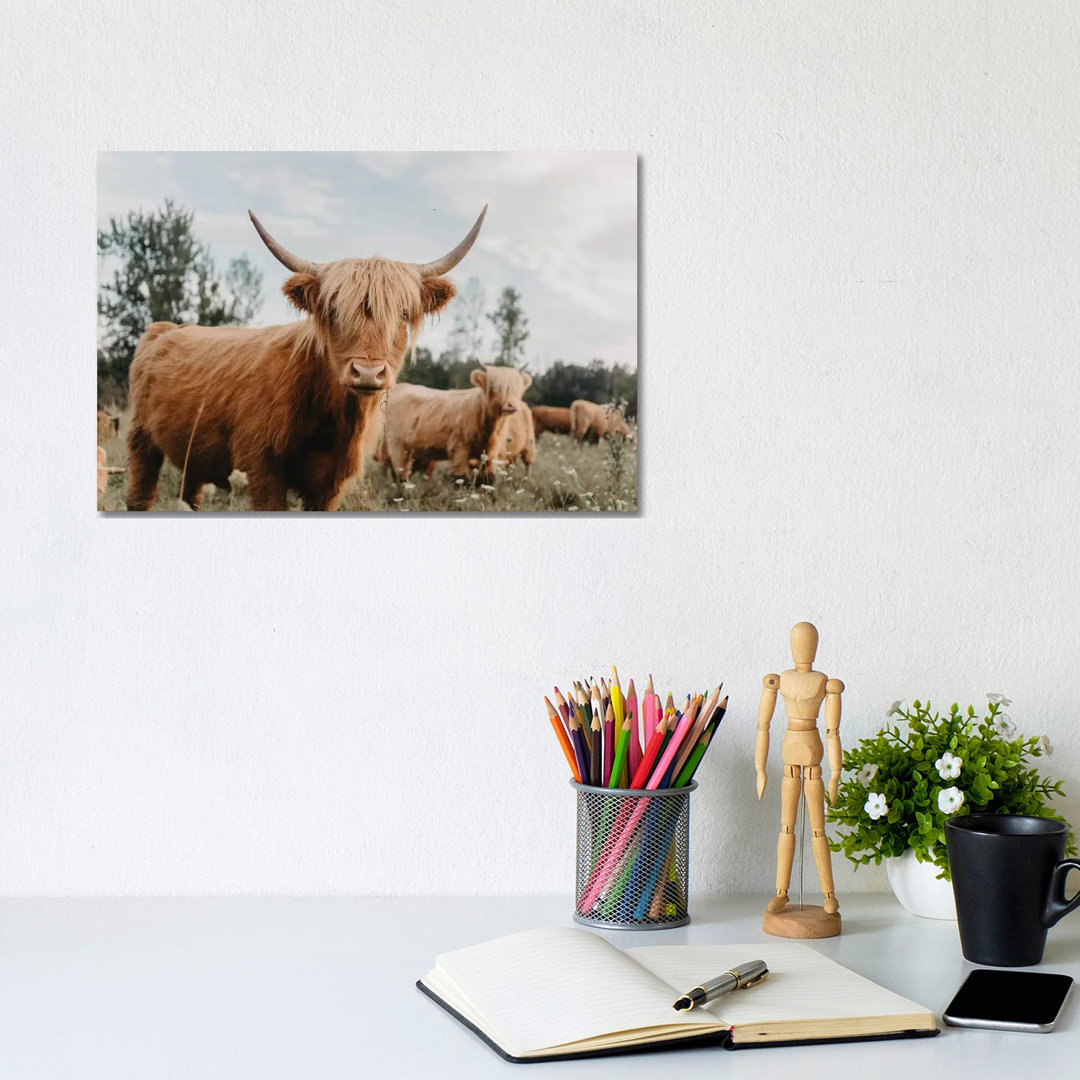 Highland Cow by Chelsea Victoria - Wrapped Canvas Gallery-Wrapped Canvas Giclée