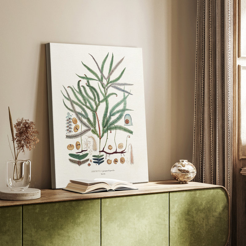 Fougères de la Botanical Society - galerie Cavas sur mesure, H 48 po x l 32 po