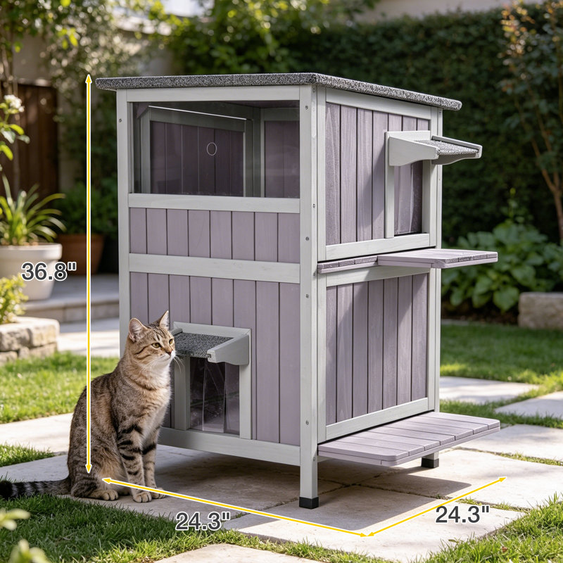 Abri pour chat portatif extérieur, Non
