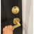 Satin Gold is out of stock selected