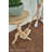 Live.Love.Clean. Mop Pad