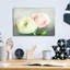 «Peony 06» par Lightbox Journal-1468056977