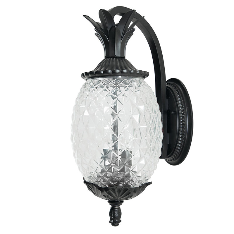 Lanterne murale d'extérieur à 1 ampoule H 18 po Arlesey, Noir mat