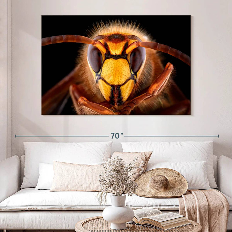 Brampt European Hornet Head