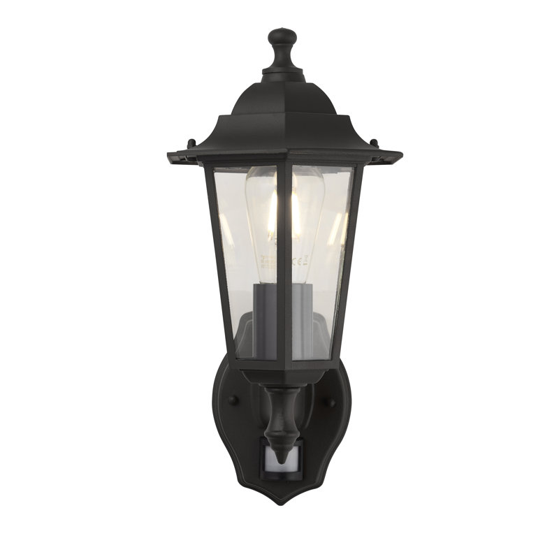 Naber 37cm H Outdoor Wall Lantern, Black