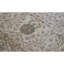 Sultanabad Wool Oriental Area Rug in Cream