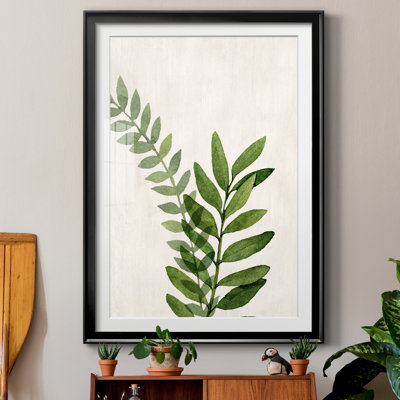 " Botanical Wash II "