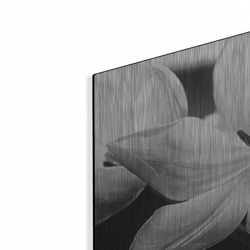 "Tulipes translucides IV" par Debra Van Swearingen, H 16 po x l 24 po