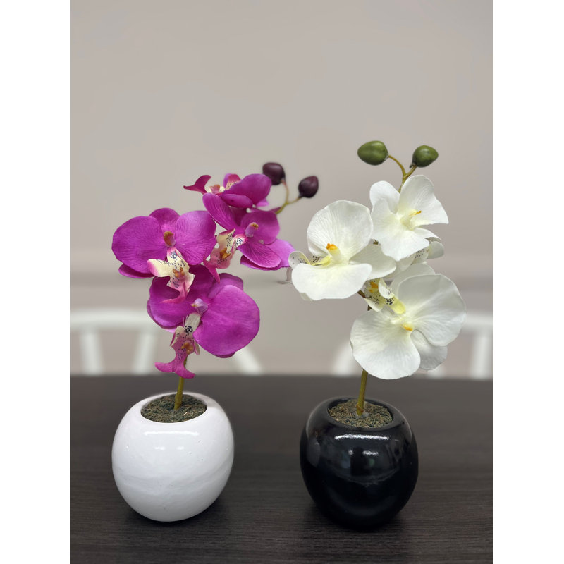 Fabric Orchid Arrangement in Pot, 0.28cm H x 0.13cm W x 0.08cm D, Purple/White