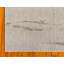 Tapis oriental gris Brierley-1115418743
