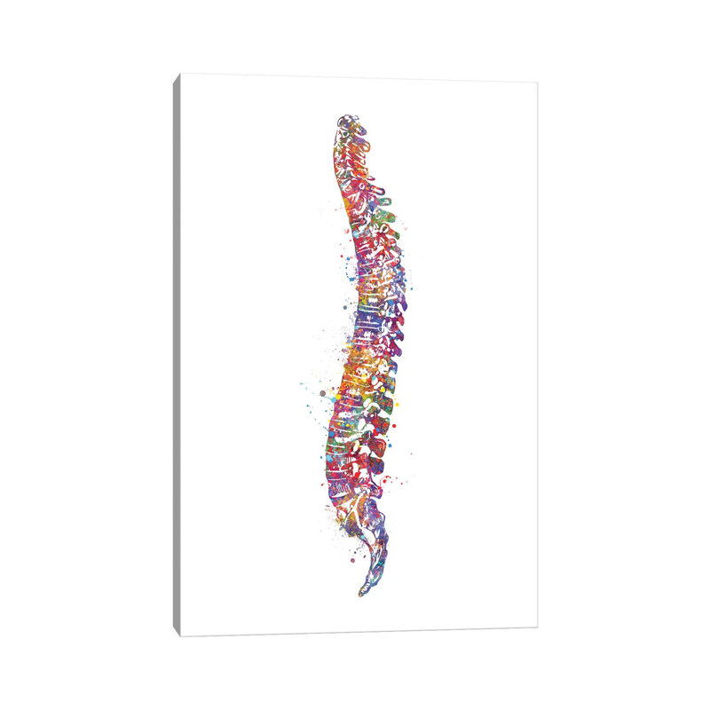Spinal Cord I - Wrapped Canvas Print, 20.32 cm H x 30.48 cm W