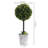 15.4'' Faux Boxwood Topiary in Wicker/Rattan Planter