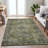 Machine Washable Indoor/Outdoor Labon ACN2170 Global Rug-764490284