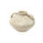 Cole and Grey Ceramic Antique Style Washed Cream Decorative Vase with Handles-273365222