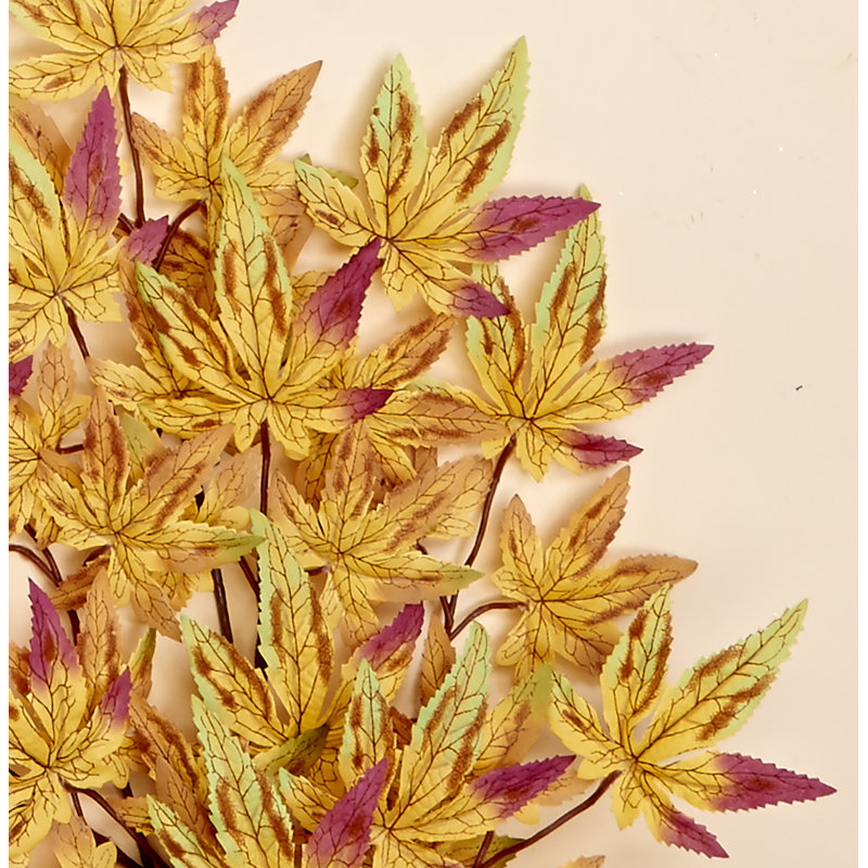Jets de feuilles d'érable japonais, Jaune