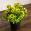 8 po Marguerite artificielle en pot noir - ensemble de 3