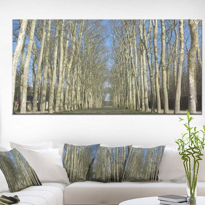 " Gardens Of Palace Versailles "