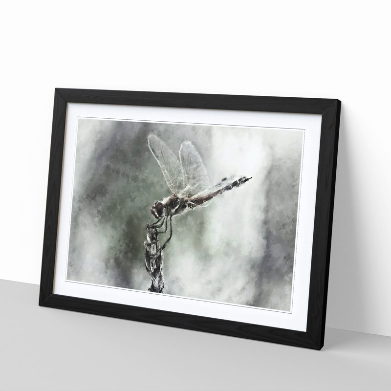 Perched Dragonfly - Picture Frame Graphic Art Print, 45cm H x 63cm W x 2cm D, Black