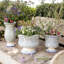 Scorrimento Blu Tall Vase
