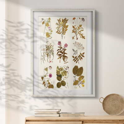 Crewe -Gallery Wrapped Canvas