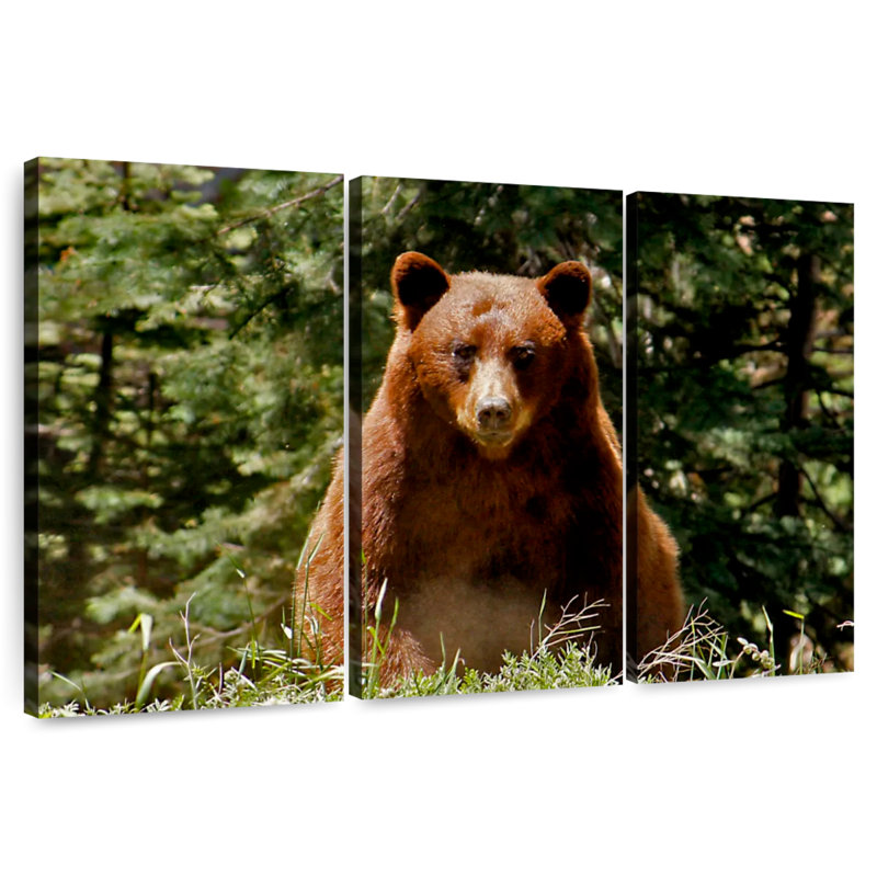 Brampt Yosemite Bear, 24" H x 38" W