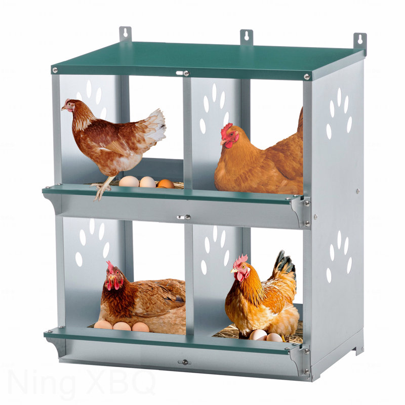 Boîte de ponte à 4 compartiments en métal pour différentes races de poules