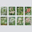 «Botanical Floral Iris Garden Zen Wild Flower», reproduction encadrée sur papier, 8 pièces-92573764-92573766