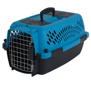 small cat carrier travel